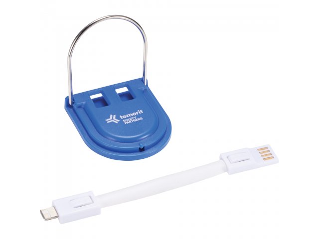 7141-74_RYL_D_TEMERIT-LOGO-ANGLE