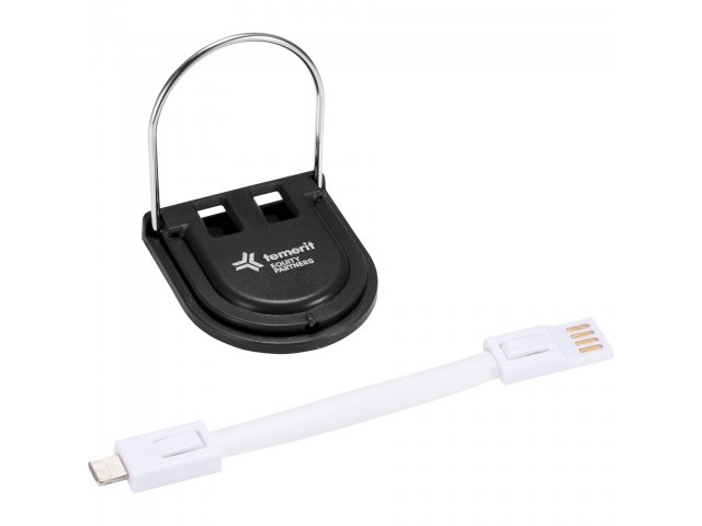 7141-74_BK_D_TEMERIT-LOGO-ANGLE