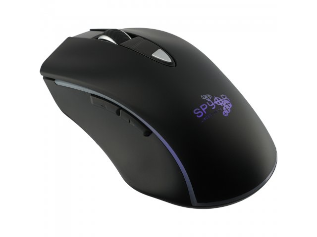 7142-24_BK_D_COLOR-PURPLE