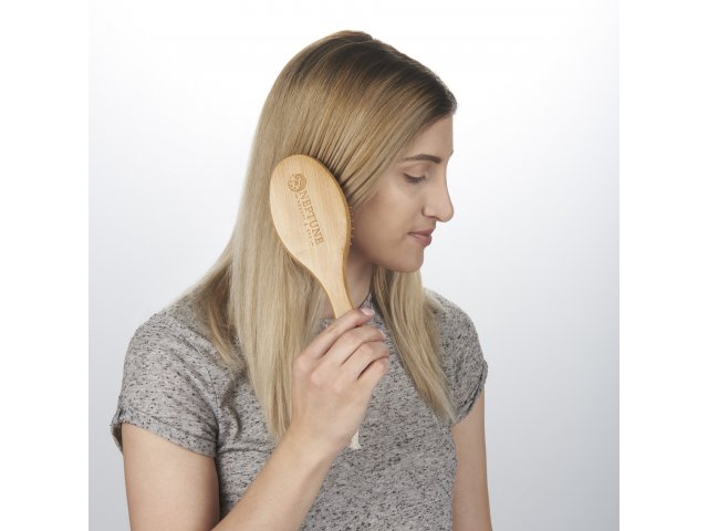 1410-78_NT_D_NEPTUNE-LOGO-HAIRBRUSH-MODEL