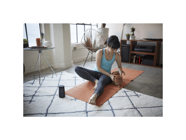 7195-02_BK_B_BOSE_Lifestyle