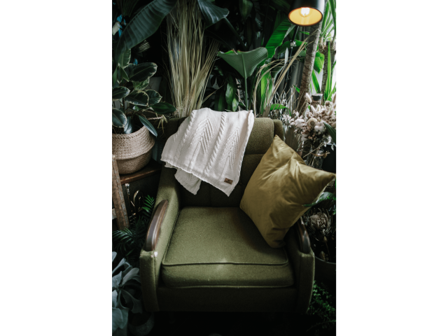 1010-05_WH_A_STILL-2