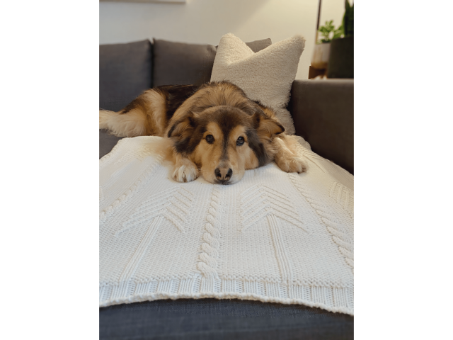 1010-05_WH_A_Lifestyle