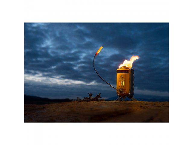 1095-01_OR_A_AR_ONL-1