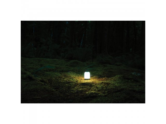 1095-03_WHTQ_B_FR_Still-16