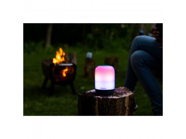 1095-03_WHTQ_B_FR_Still-1