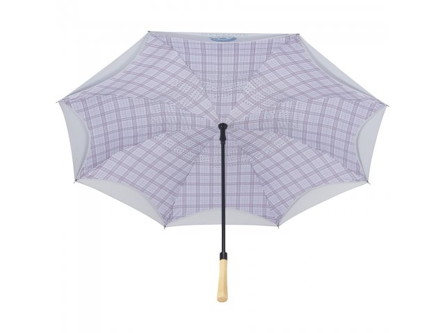 2051-06_GY_A_UMBRELLA-BACK-CANOPY