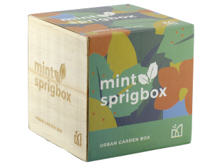 Sprigbox Mint Grow Kit