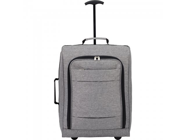 Graphite 20" Upright Luggage