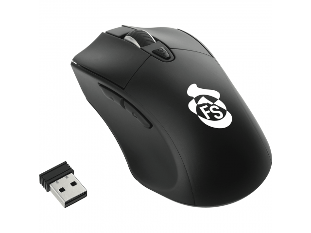 Wizard Wireless Mouse with Coating