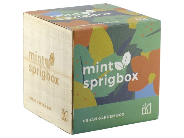 Sprigbox Mint Grow Kit