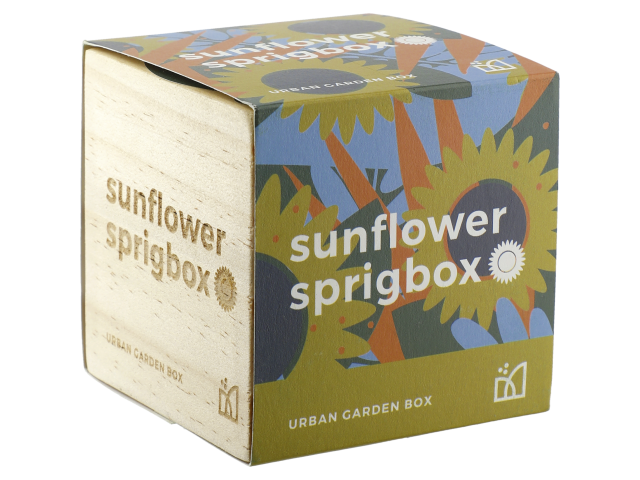 Sprigbox Sunflower Grow Kit